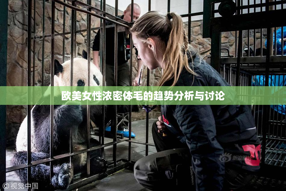 欧美女性浓密体毛的趋势分析与讨论