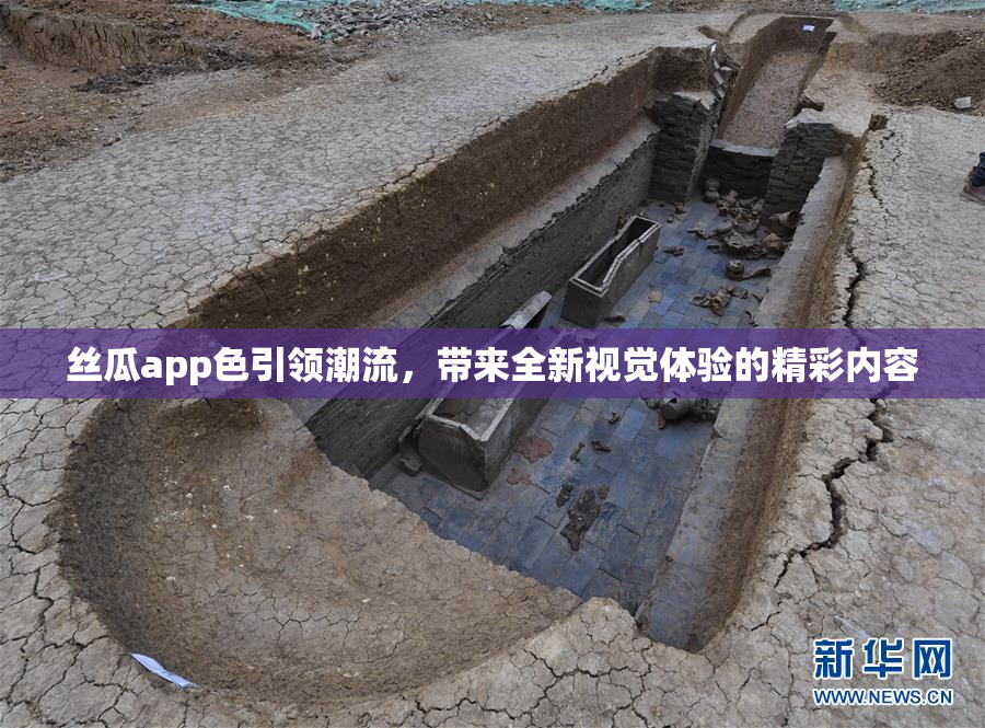 丝瓜app色引领潮流，带来全新视觉体验的精彩内容