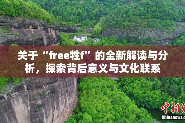 关于“free牲f”的全新解读与分析，探索背后意义与文化联系