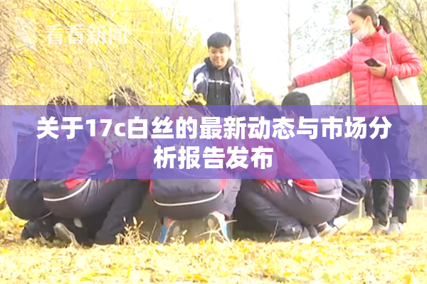 关于17c白丝的最新动态与市场分析报告发布