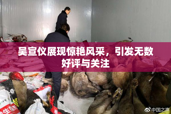 吴宣仪展现惊艳风采，引发无数好评与关注