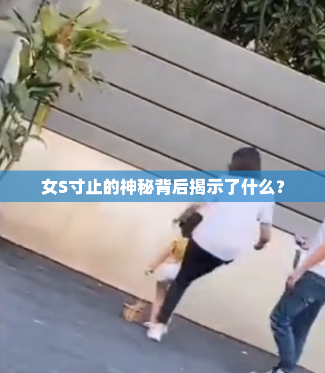 女S寸止的神秘背后揭示了什么？