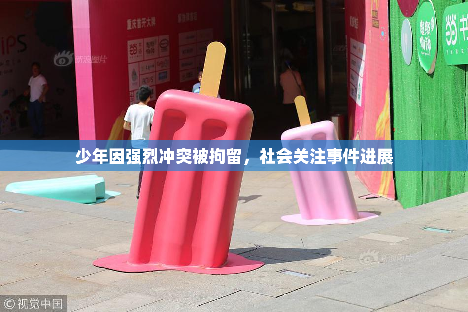 少年因强烈冲突被拘留，社会关注事件进展
