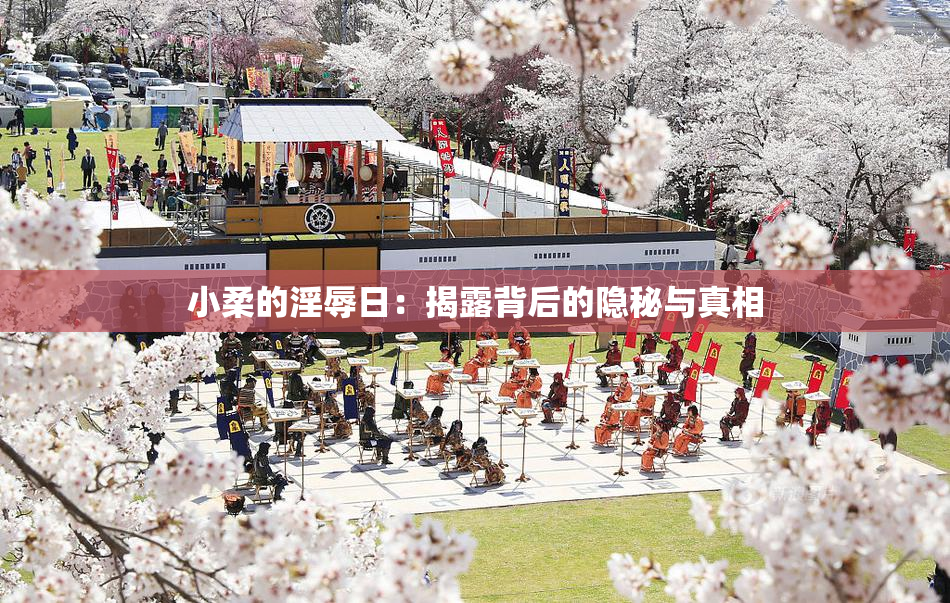 小柔的淫辱日：揭露背后的隐秘与真相