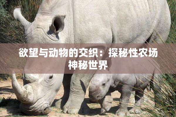 欲望与动物的交织：探秘性农场神秘世界