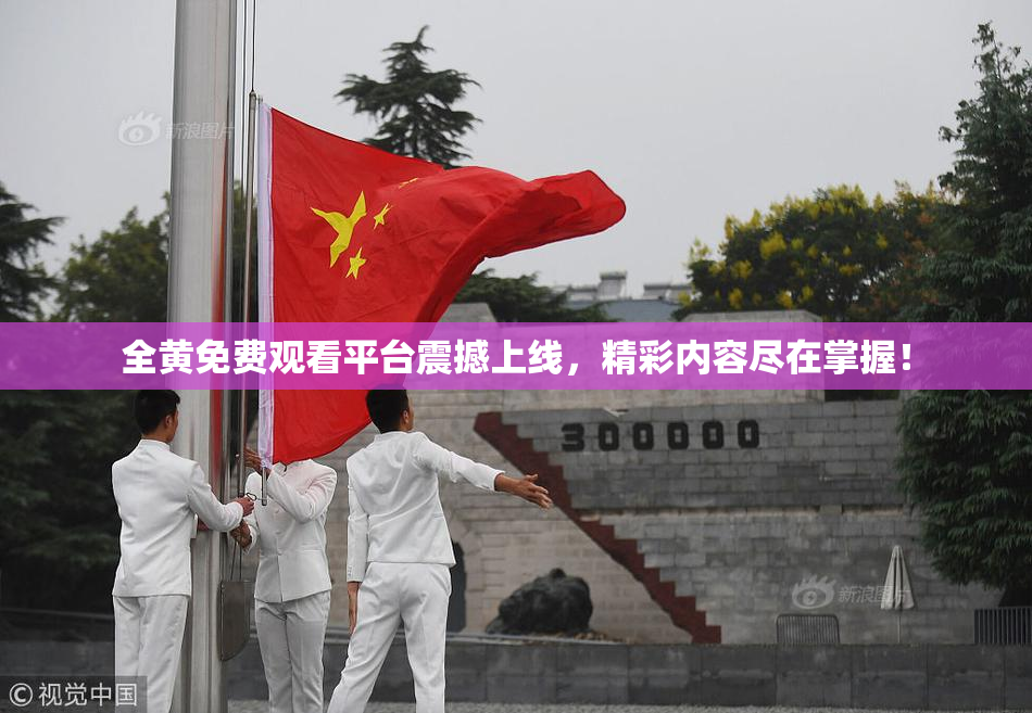 全黄免费观看平台震撼上线，精彩内容尽在掌握！