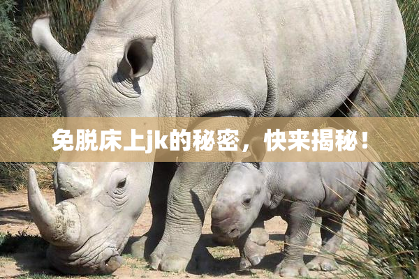 免脱床上jk的秘密，快来揭秘！