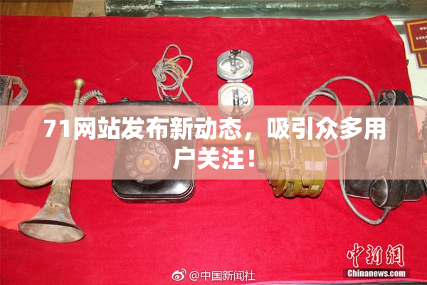 71网站发布新动态，吸引众多用户关注！