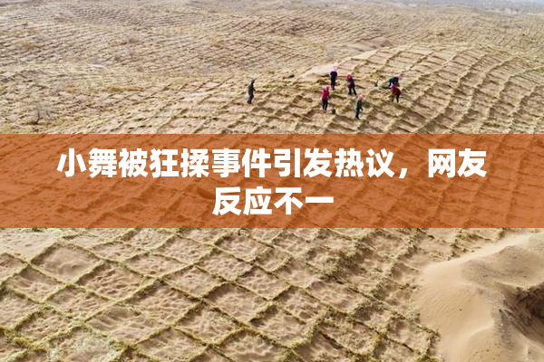 小舞被狂揉事件引发热议，网友反应不一