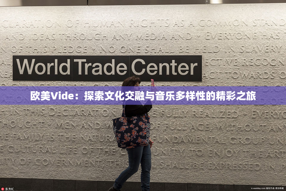 欧美Vide：探索文化交融与音乐多样性的精彩之旅