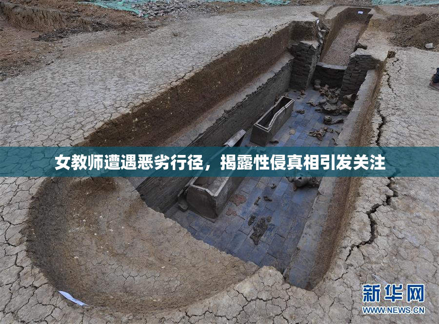 女教师遭遇恶劣行径，揭露性侵真相引发关注