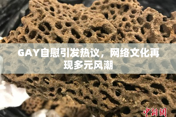 GAY自慰引发热议，网络文化再现多元风潮