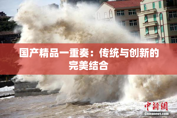 国产精品一重奏：传统与创新的完美结合