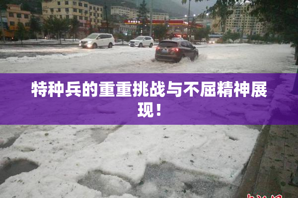 特种兵的重重挑战与不屈精神展现！