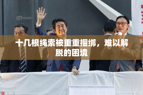 十几根绳索被重重捆绑，难以解脱的困境
