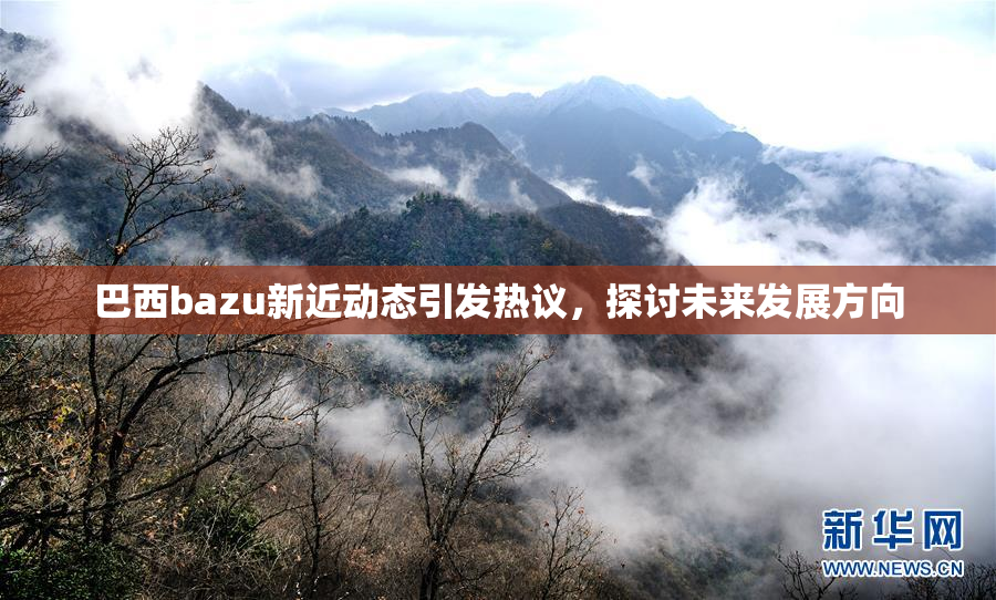 巴西bazu新近动态引发热议，探讨未来发展方向
