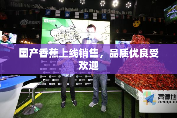 国产香蕉上线销售，品质优良受欢迎
