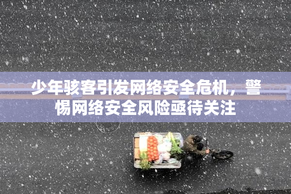 少年骇客引发网络安全危机，警惕网络安全风险亟待关注