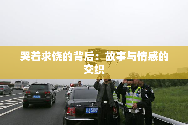哭着求饶的背后：故事与情感的交织