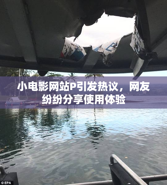 小电影网站P引发热议，网友纷纷分享使用体验