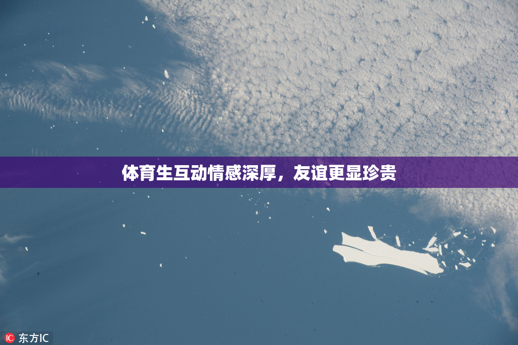 体育生互动情感深厚，友谊更显珍贵