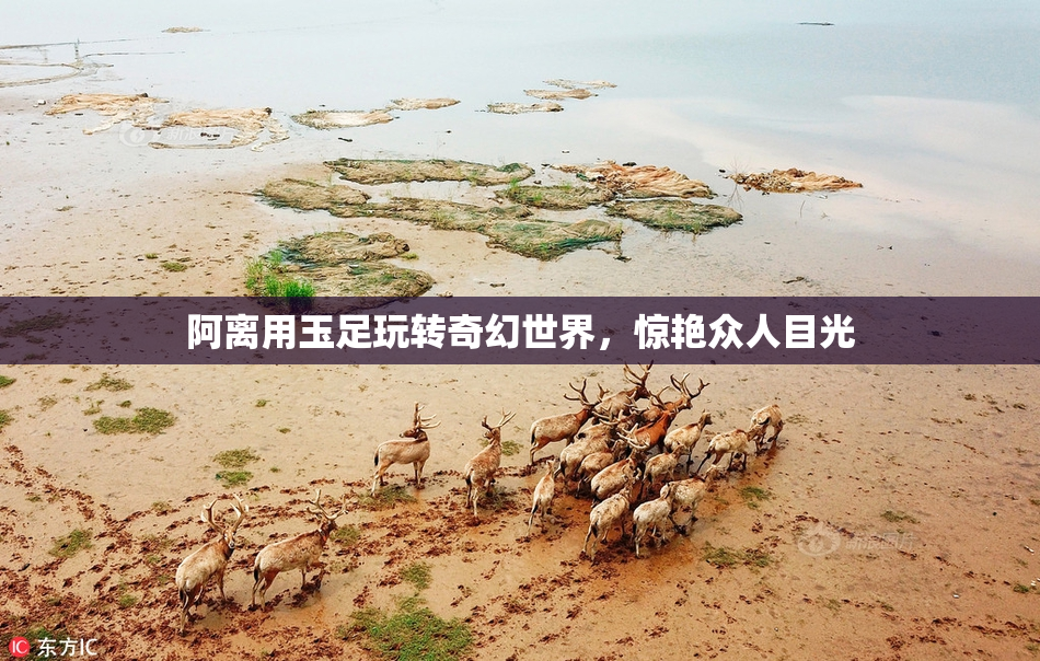 阿离用玉足玩转奇幻世界，惊艳众人目光