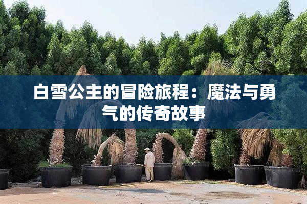 白雪公主的冒险旅程：魔法与勇气的传奇故事
