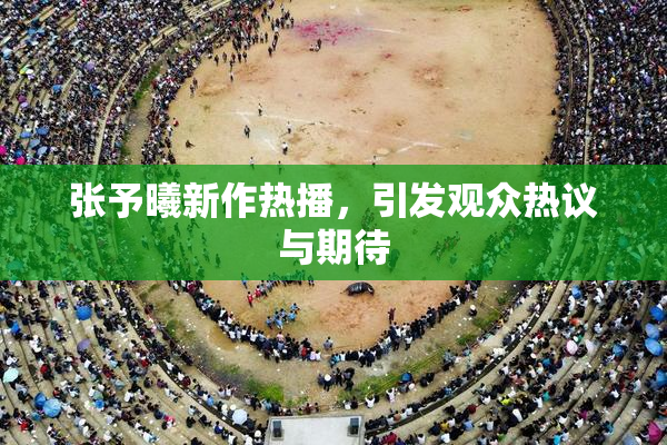 张予曦新作热播，引发观众热议与期待