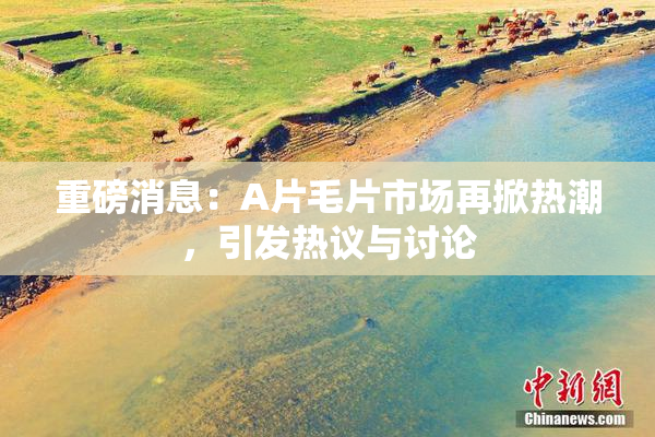 重磅消息：A片毛片市场再掀热潮，引发热议与讨论