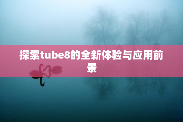 探索tube8的全新体验与应用前景