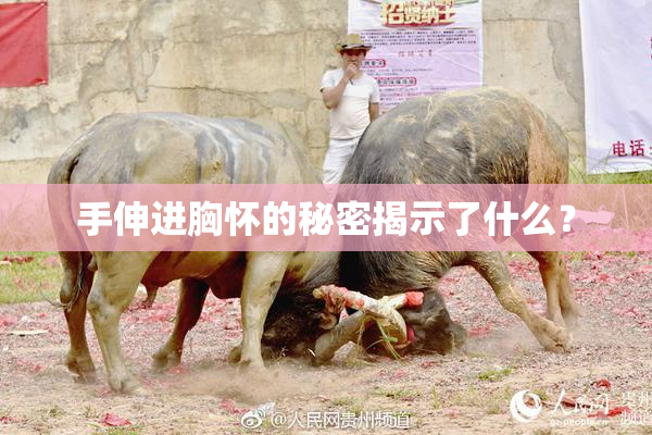 手伸进胸怀的秘密揭示了什么？