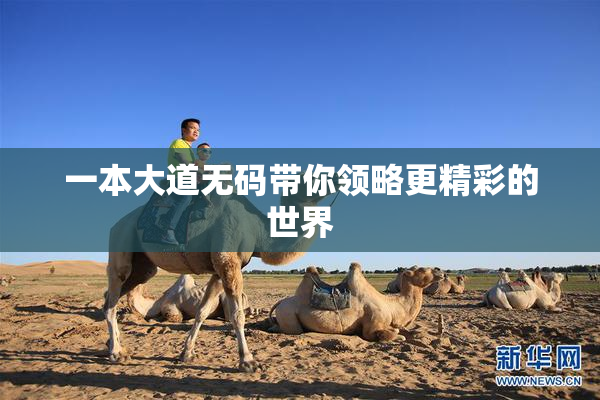 一本大道无码带你领略更精彩的世界