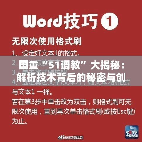国重“51调教”大揭秘：解析技术背后的秘密与创新之旅