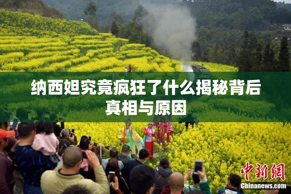 纳西妲究竟疯狂了什么揭秘背后真相与原因