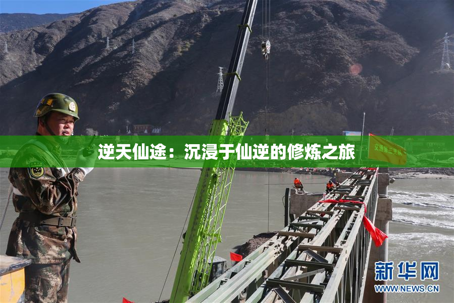 逆天仙途：沉浸于仙逆的修炼之旅