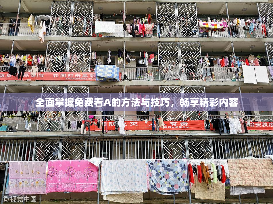 全面掌握免费看A的方法与技巧，畅享精彩内容