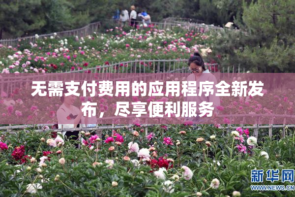 无需支付费用的应用程序全新发布，尽享便利服务