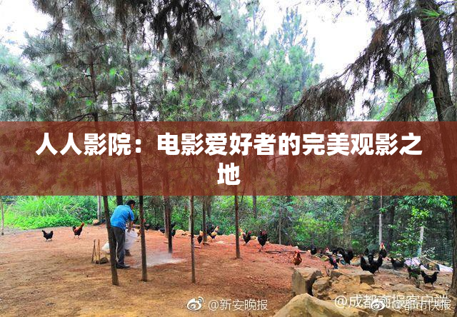 人人影院：电影爱好者的完美观影之地