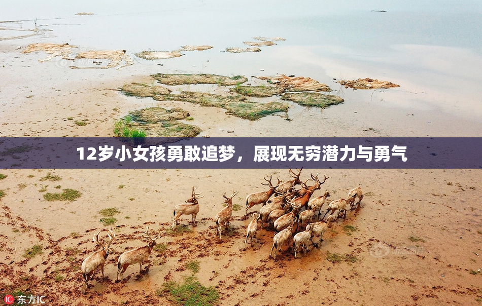 12岁小女孩勇敢追梦，展现无穷潜力与勇气