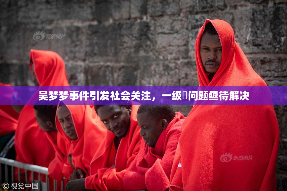 吴梦梦事件引发社会关注，一级婬问题亟待解决