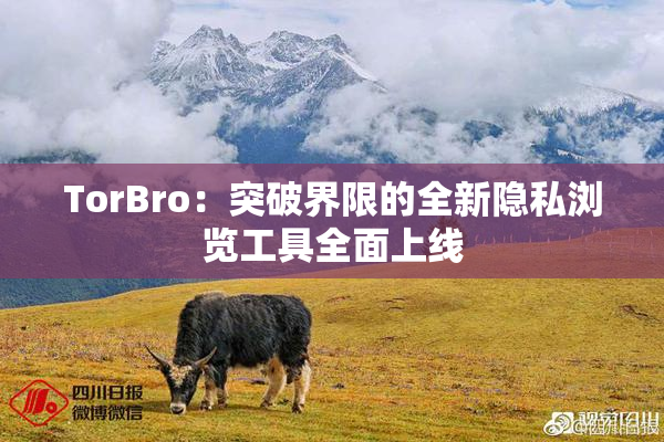 TorBro：突破界限的全新隐私浏览工具全面上线
