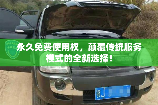 永久免费使用权，颠覆传统服务模式的全新选择！