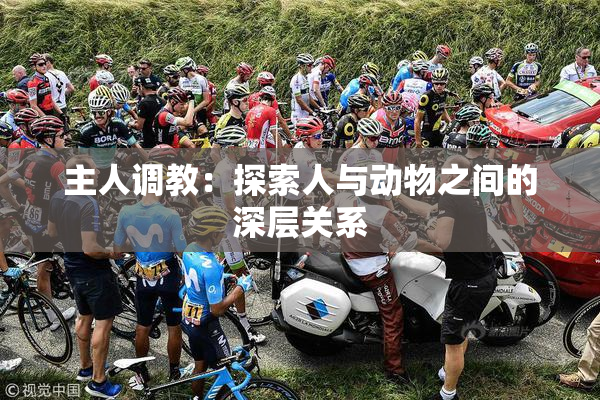 主人调教：探索人与动物之间的深层关系