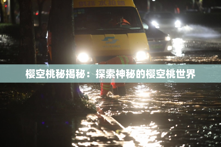 樱空桃秘揭秘：探索神秘的樱空桃世界