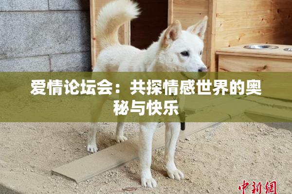爱情论坛会：共探情感世界的奥秘与快乐