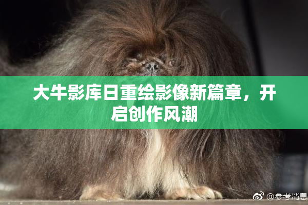 大牛影库日重绘影像新篇章，开启创作风潮