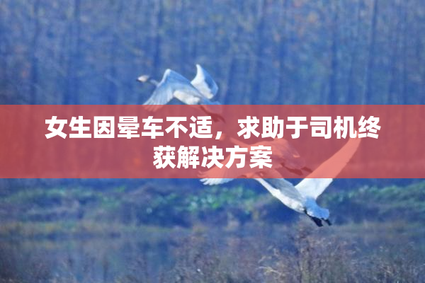 女生因晕车不适，求助于司机终获解决方案