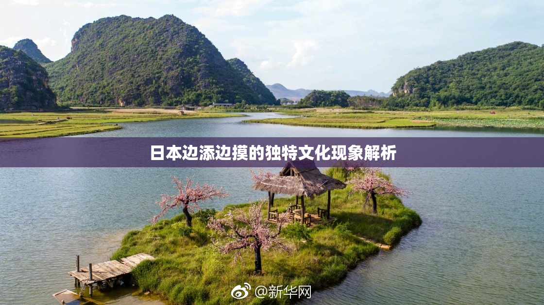 日本边添边摸的独特文化现象解析