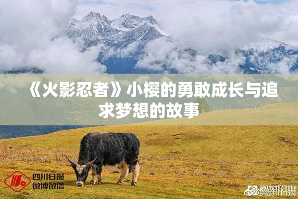 《火影忍者》小樱的勇敢成长与追求梦想的故事