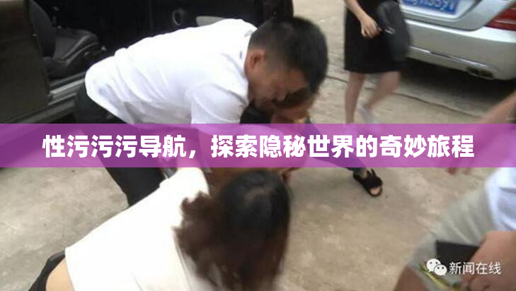 性污污污导航，探索隐秘世界的奇妙旅程